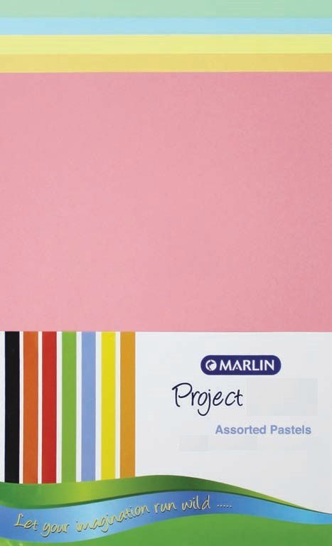 A4 Project Board - 50's Pastel