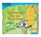 Dipanana tsa ga Kgajwana (Big Book version)