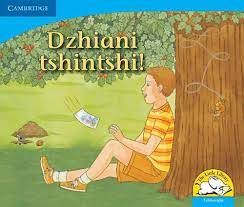 Dzhiani tshintshi! (Big Book version)