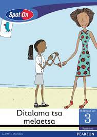 Spot On Setswana Grade 3 Reader: Ditalama tsa melaetsa Little Book (Entrepreneurship)