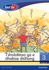 Spot On Setswana Grade 3 Reader: Tsholofetso ga e tlhabise ditlhong Little Book (Thula & the Lion)