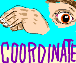 Eye-Hand Coordination/Oog Wb