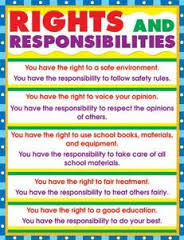 Chart: Rights And Responsibilities A2 (Flat)
